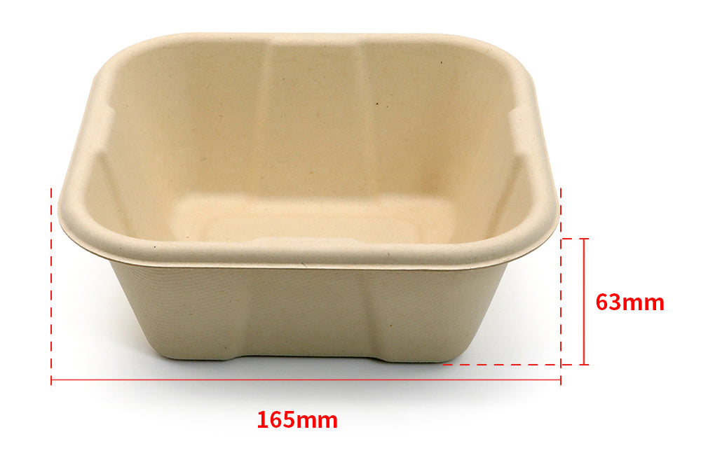 Hot! New Square Compostable Display Takeaway Box with Lid