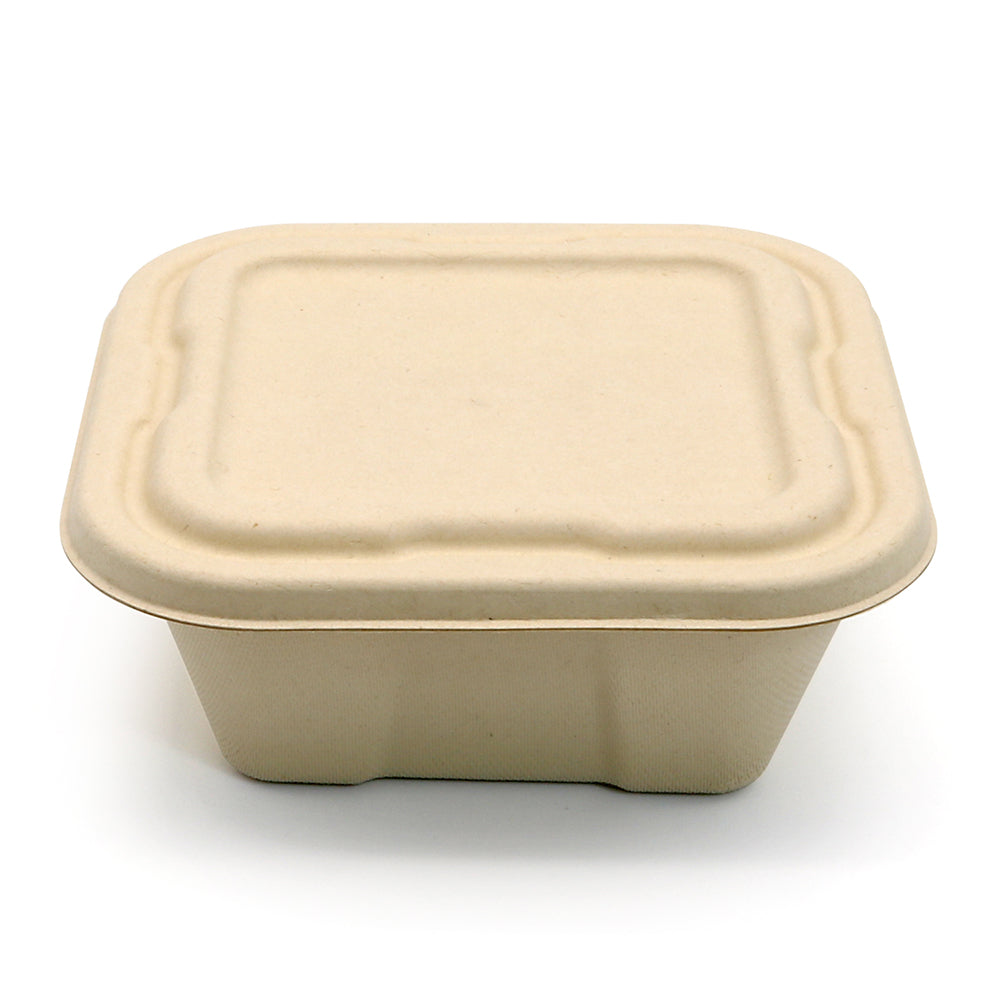 Hot! New Square Compostable Display Takeaway Box with Lid