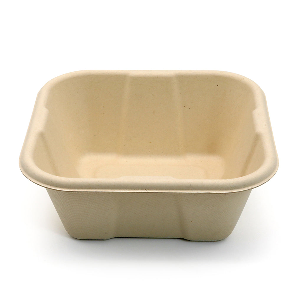 Hot! New Square Compostable Display Takeaway Box with Lid