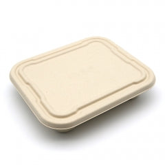 Hot! New Square Compostable Display Takeaway Box with Lid