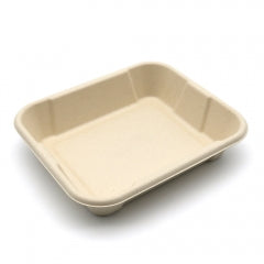 Hot! New Square Compostable Display Takeaway Box with Lid