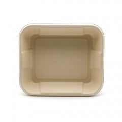 Hot! New Square Compostable Display Takeaway Box with Lid