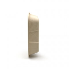 Hot! New Square Compostable Display Takeaway Box with Lid