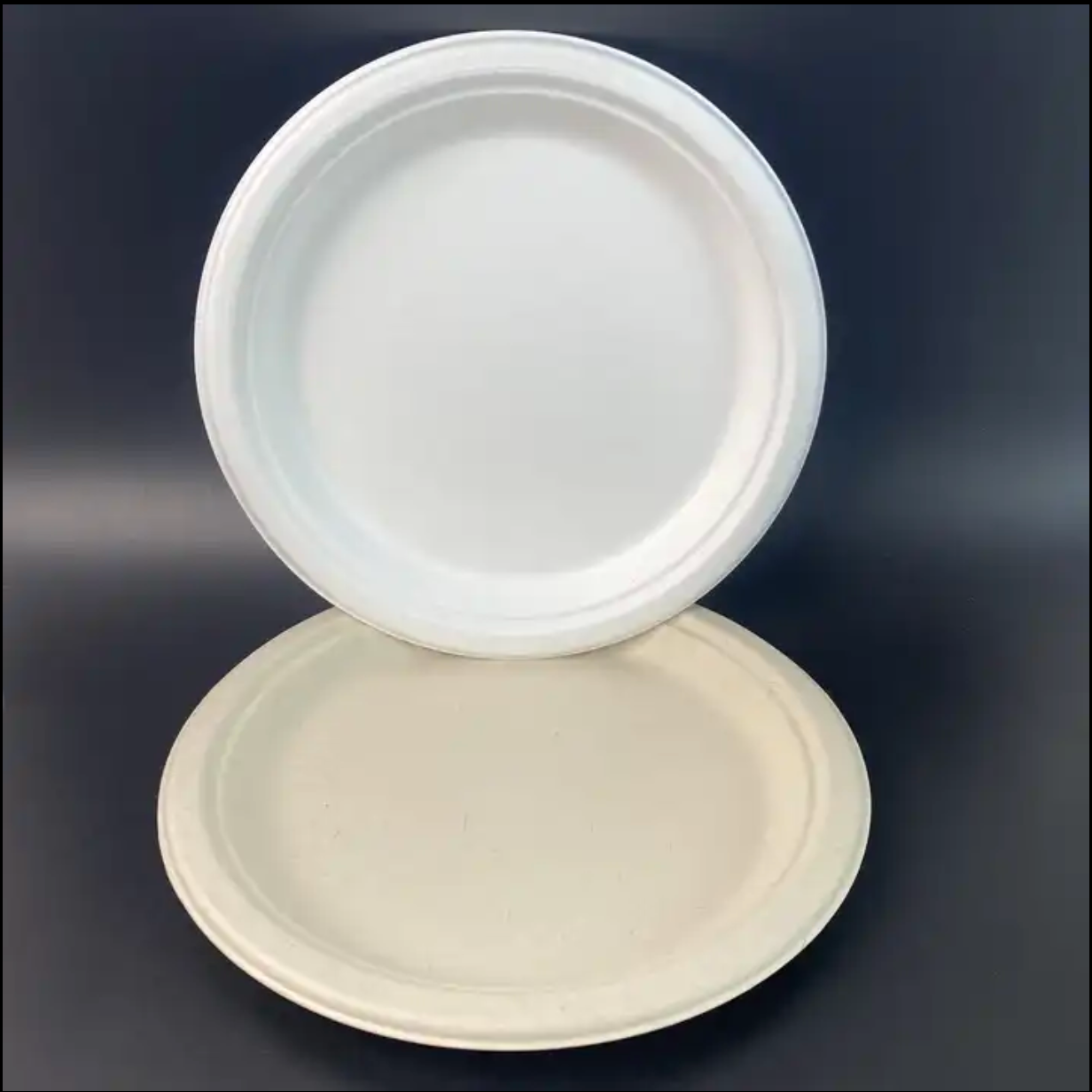 Hot! High-quality Compostable Plates