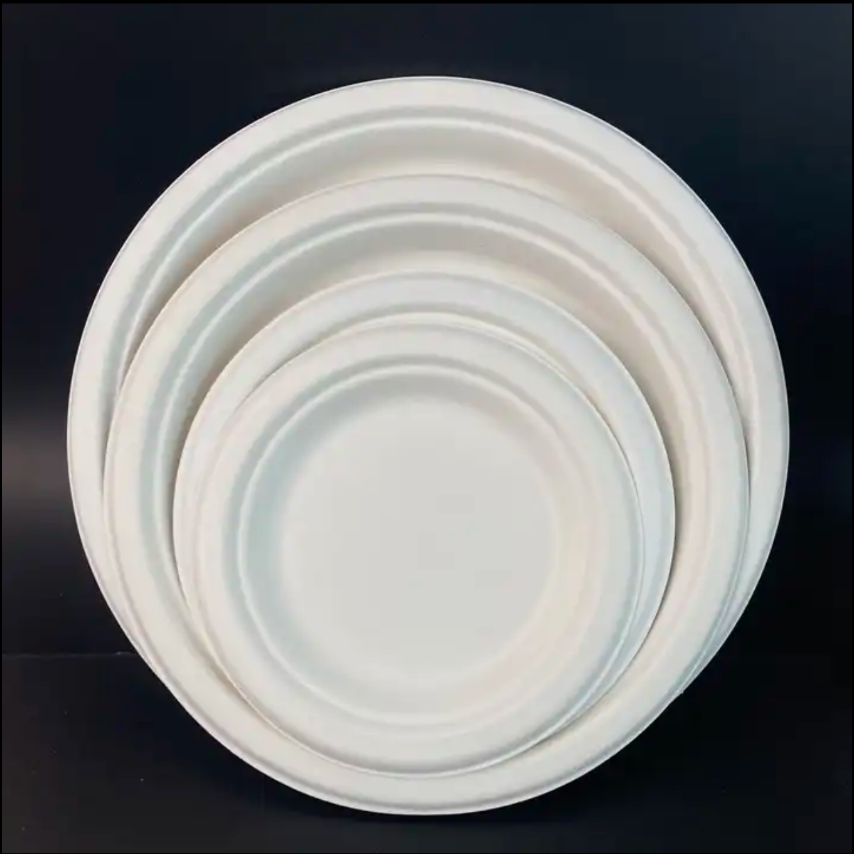Hot! High-quality Compostable Plates