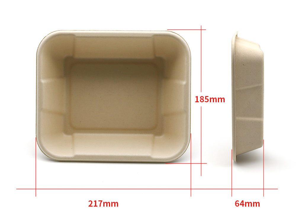 Hot! New Square Compostable Display Takeaway Box with Lid