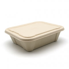 Hot! New Square Compostable Display Takeaway Box with Lid