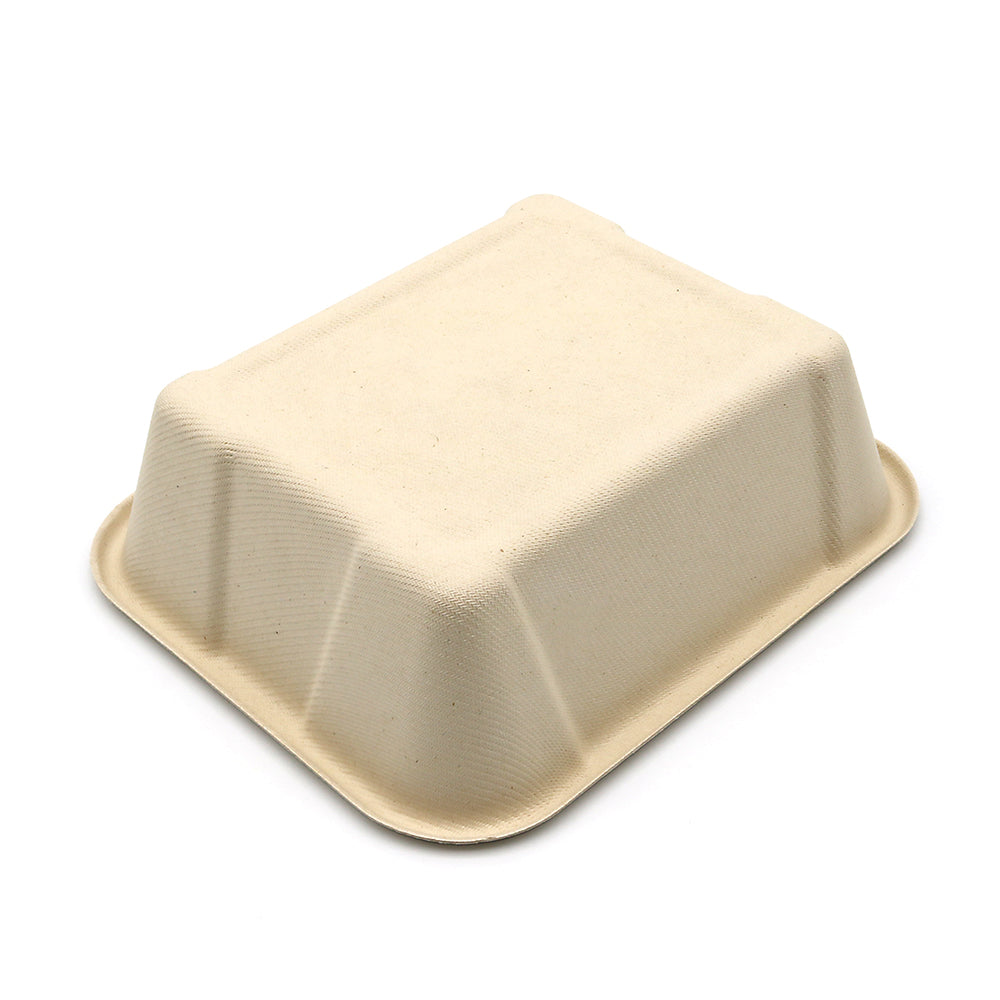 Hot! New Square Compostable Display Takeaway Box with Lid