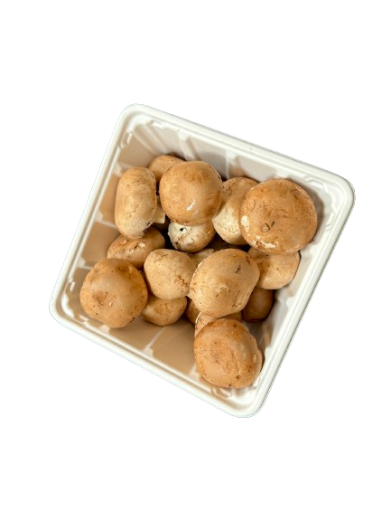 Hot! GreenPack Square Mushroom Tray 46oz