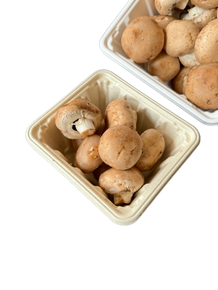 Hot! GreenPack Square Mushroom Tray 46oz