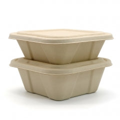 Hot! New Square Compostable Display Takeaway Box with Lid