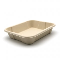 Hot! New Square Compostable Display Takeaway Box with Lid