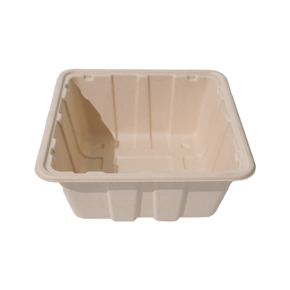 Hot! GreenPack 92oz/2730ml Compostable Mushroom Box — BPI Certified | OEM/ODM Available