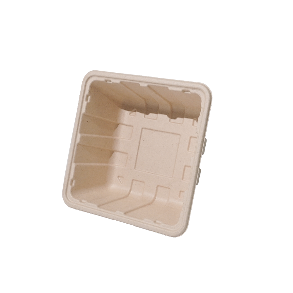 Hot! GreenPack 92oz/2730ml Compostable Mushroom Box — BPI Certified | OEM/ODM Available