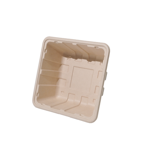 Hot! GreenPack 92oz/2730ml Compostable Mushroom Box — BPI Certified | OEM/ODM Available