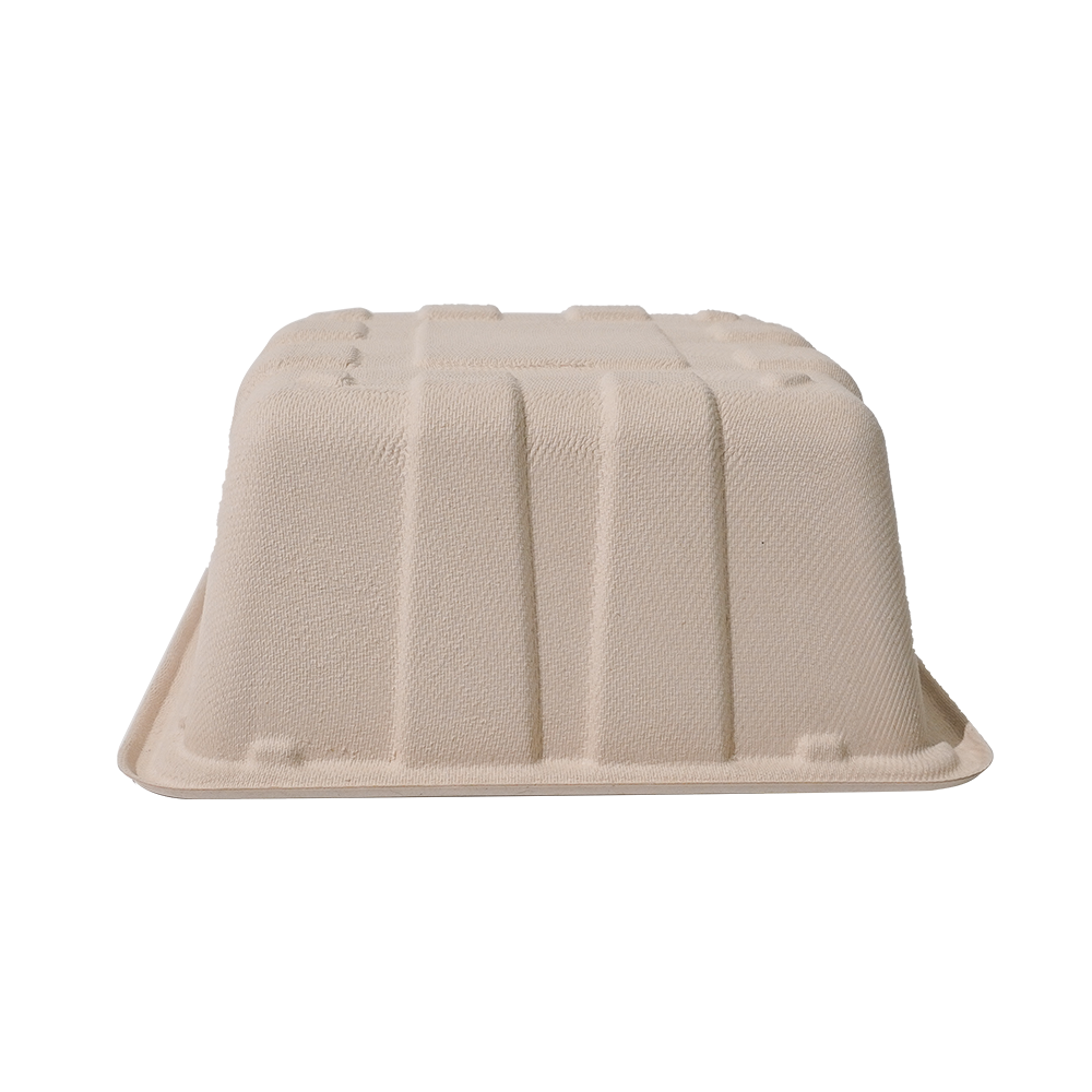 Hot! GreenPack 92oz/2730ml Compostable Mushroom Box — BPI Certified | OEM/ODM Available