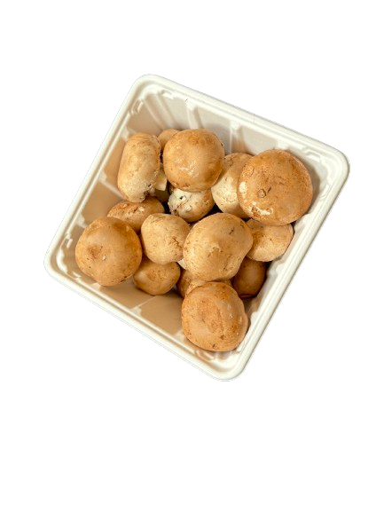 Hot! GreenPack 110oz/3200ml Compostable Mushroom Box — BPI Certified | OEM/ODM Available