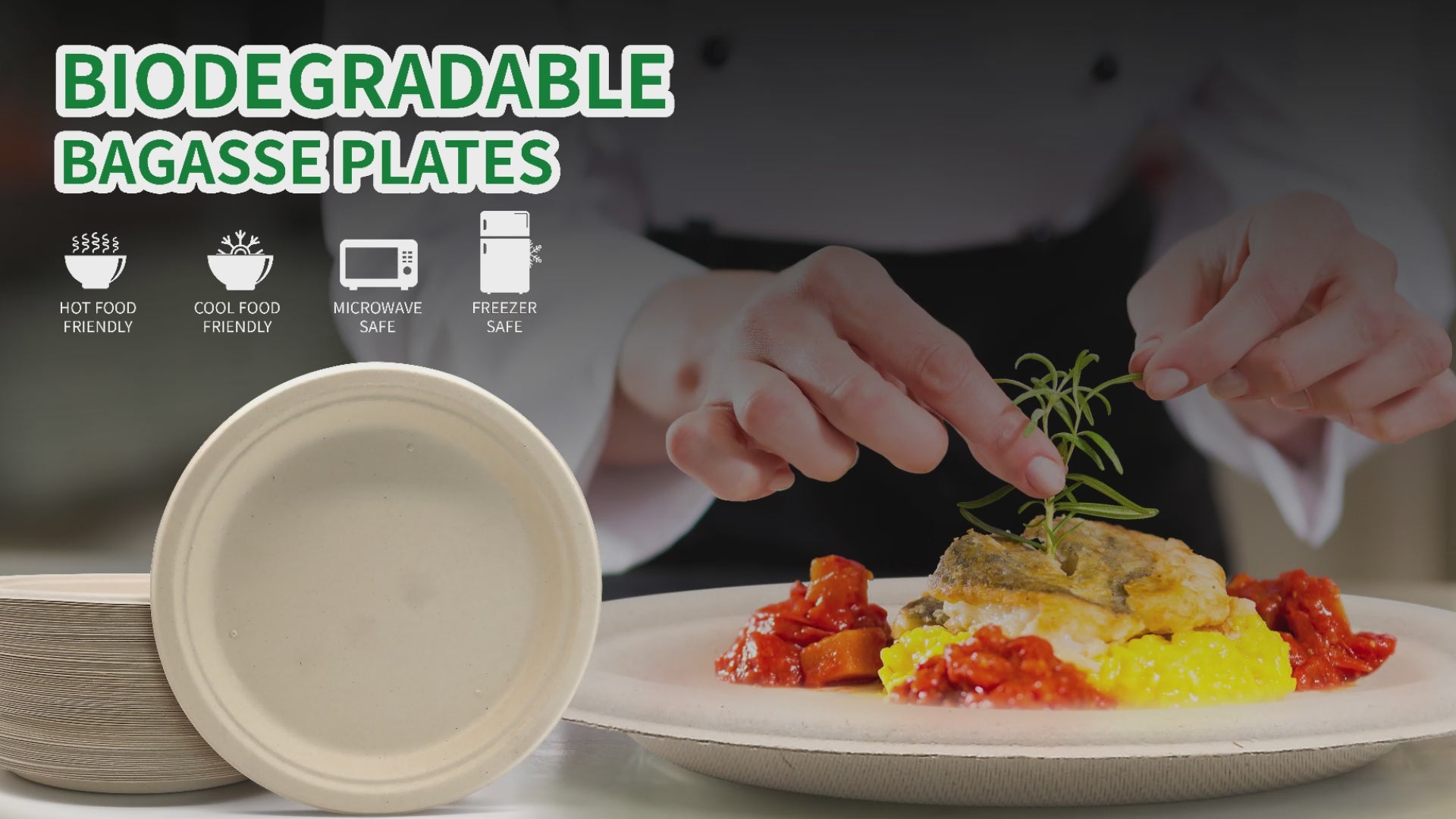Hot! High-quality Compostable Plates – Eco-GreenPack